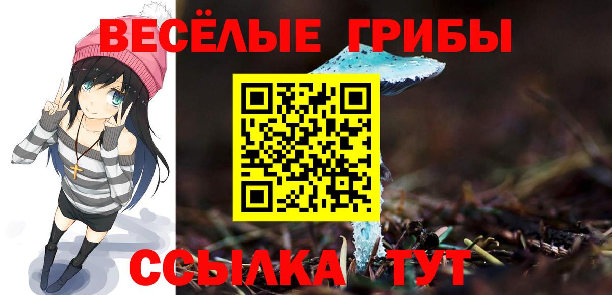 Каспийск  Псилоцибиновые грибы Cubensis  Вход с VPN 